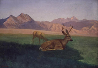 Albert Bierstadt - Deer.webp