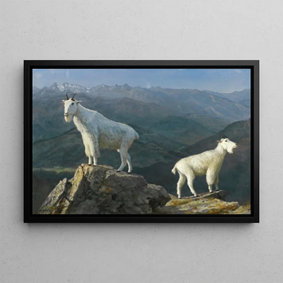 Albert Bierstadt - Mountain goats.webp