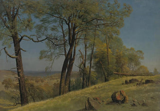 Albert Bierstadt - Rockland county california.webp