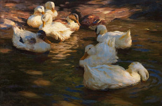 Alexander Koester - 9 Enten im Abendlicht.webp