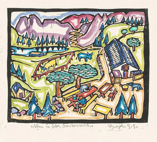 Alm en Haute-Autriche - Reijer Stolk