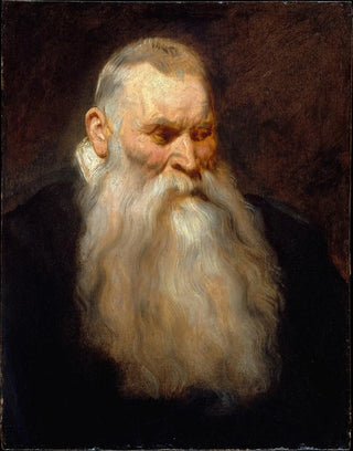 Anthony van Dyck - Study Head of an Old Man with a White Beard.webp