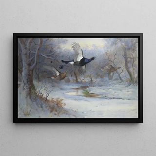 Archibald Thorburn - Blackcock And Grouse In Flight Winter.webp