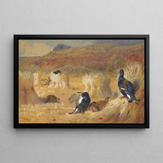 Archibald Thorburn - Blackcock In A Field.webp