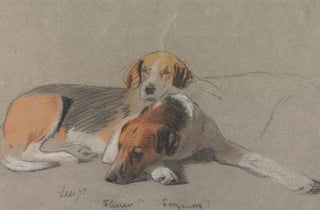 Archibald Thorburn - Hounds Fleur and Frogmore.webp