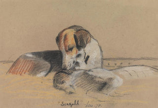 Archibald Thorburn - Hounds Seagull.webp