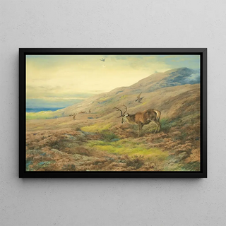 Archibald Thorburn - In The Highlands Red Stag Mobbed By A Pair Of Peregrines.webp