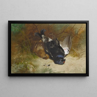 Archibald Thorburn - Still Life Of A Pair Of Blackgame.webp