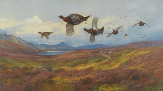 Archibald Thorburn - Swerving From The GunsRed Grouse.webp