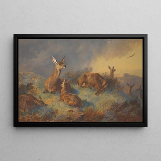 Archibald Thorburn - The Watchful Hinds.webp