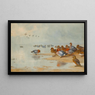 Archibald Thorburn - Wigeon And Teal By The Waters Edge.webp