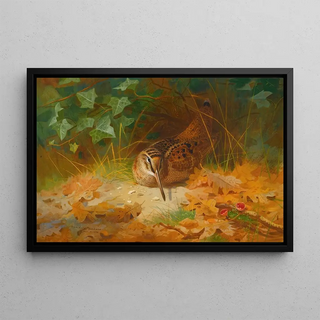 Archibald Thorburn - Woodcock.webp