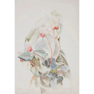 Charles Demuth - Cyclamen.webp