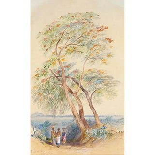 Edward Lear - Tree Study Trichinopoly India.webp
