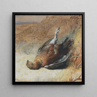 Étude d'un tétras - Archibald Thorburn