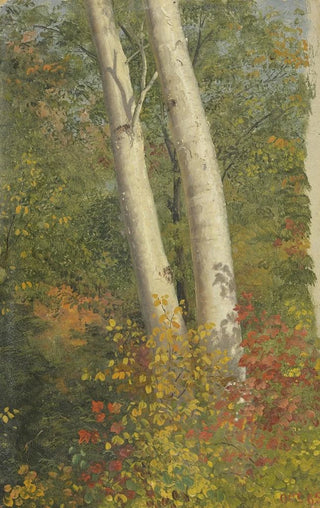 Frederic Edwin Church - Birch Trees in Autumn.webp