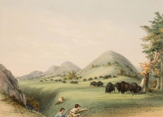 George Catlin - Buffalo Hunt Approaching in a Ravine.webp