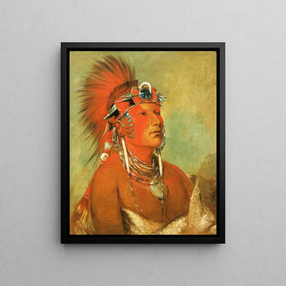 George Catlin - JeeHOHShah Cannot Be Thrown Down a Warrior.webp