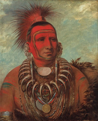 George Catlin - ShonTaYiGa Little Wolf a Famous Warrior.webp