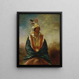 George Catlin - TelMazHZa a Warrior of Distinction.webp