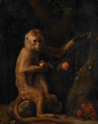 George Stubbs - A Monkey.webp