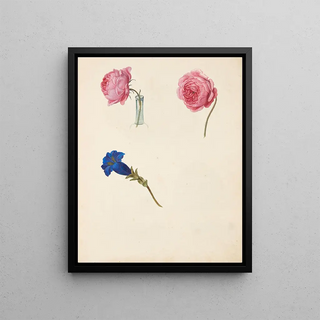 Johanna Fosie - Studie af lyserd rose og bl blomst.webp