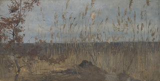 Ladislav Mednynszky - Study of a Marsh Landscape.webp