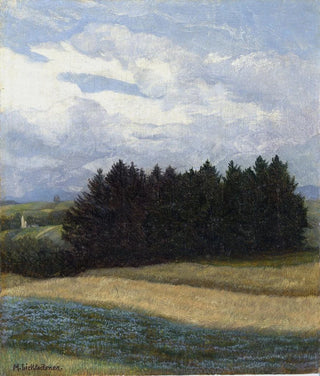 Michael Licklederer - Bei Stephanskirchen.webp