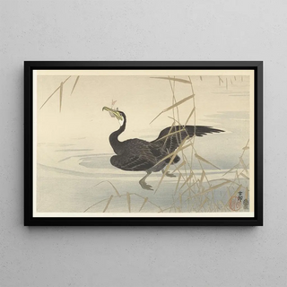 Ohara Koson - Cormorant with fish.webp