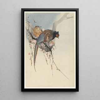 Ohara Koson - Pheasant couple and plum blossom.webp