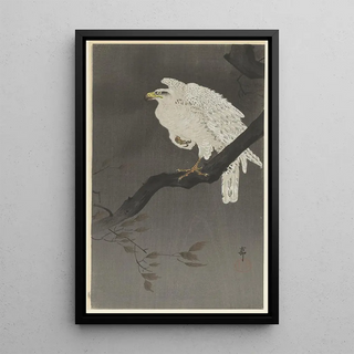 Ohara Koson - Snowy eagle on a tree branch.webp