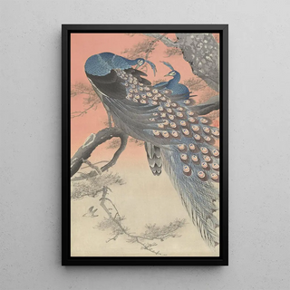 Ohara Koson - Two peacocks on tree branch.webp