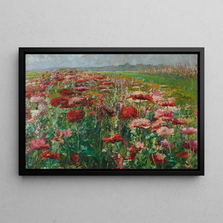 Olga WisingerFlorian - Blhender Mohn.webp