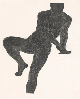 Reijer Stolk - Anatomische studie van de borst buik en beenspieren van een man in silhouet.webp