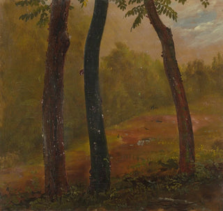 Scène forestière, Jamaïque - Frederic Edwin Church