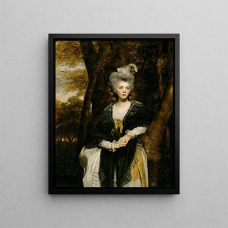 Sir Joshua Reynolds - Lady Frances Finch.webp