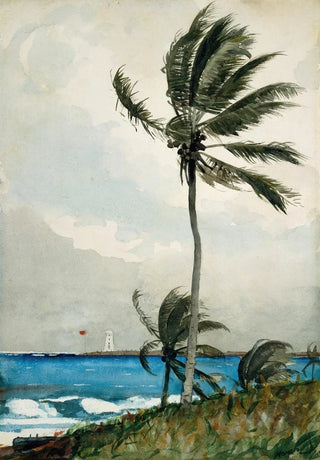 Winslow Homer - Palm Tree Nassau.webp