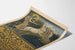 Kansainvälisen taidenäyttelyn München 1905 secession juliste