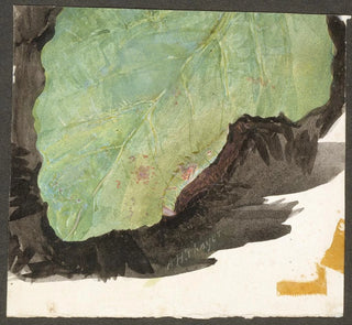 Abbott Handerson Thayer - Heterocampa Biundata Walker study for book Concealing Coloration in the Animal Kingdom.webp