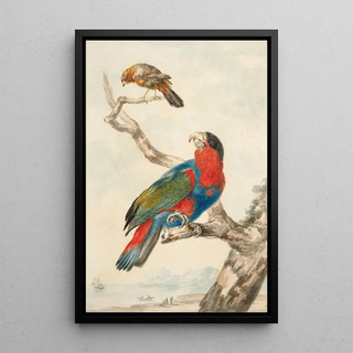 Abraham Meertens - A parrot and another bird on a branch near a littoral.webp