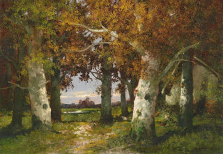 Adolf Kaufmann - Waldlandschaft.webp