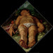 Adonis mourant - Hendrick Goltzius — näkymä teoksesta