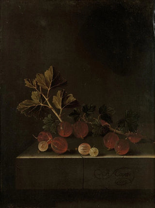 Adriaen Coorte - A Sprig of Gooseberries on a Stone Plinth.webp