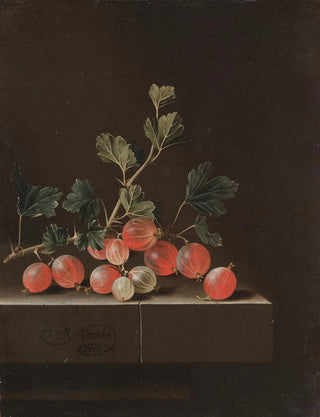 Adriaen Coorte - Gooseberries on a Table.webp