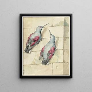 Aert Schouman - Twee rotskruipers blauw en paars op een muur.webp