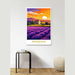 Juliste Provence Vintage auringonlaskussa