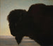Tête de buffle - Albert Bierstadt — näkymä teoksesta