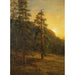 Californian setripuut - Albert Bierstadt — näkymä teoksesta