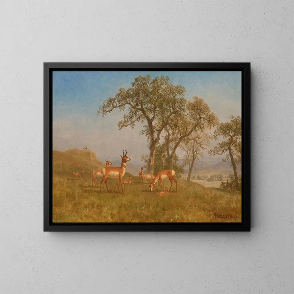 Antilope paistamassa - Albert Bierstadt — kehystetty taideteos seinällä