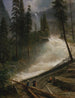 Chutes du Nevada à Yosemite - Albert Bierstadt — näkymä teoksesta
